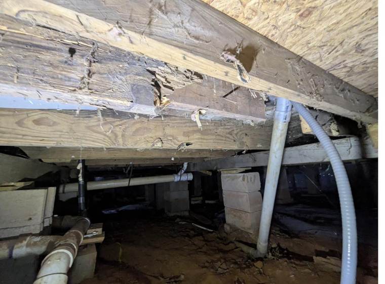 Crawlspace & structure