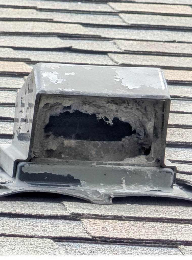 Roof & ventilation findings