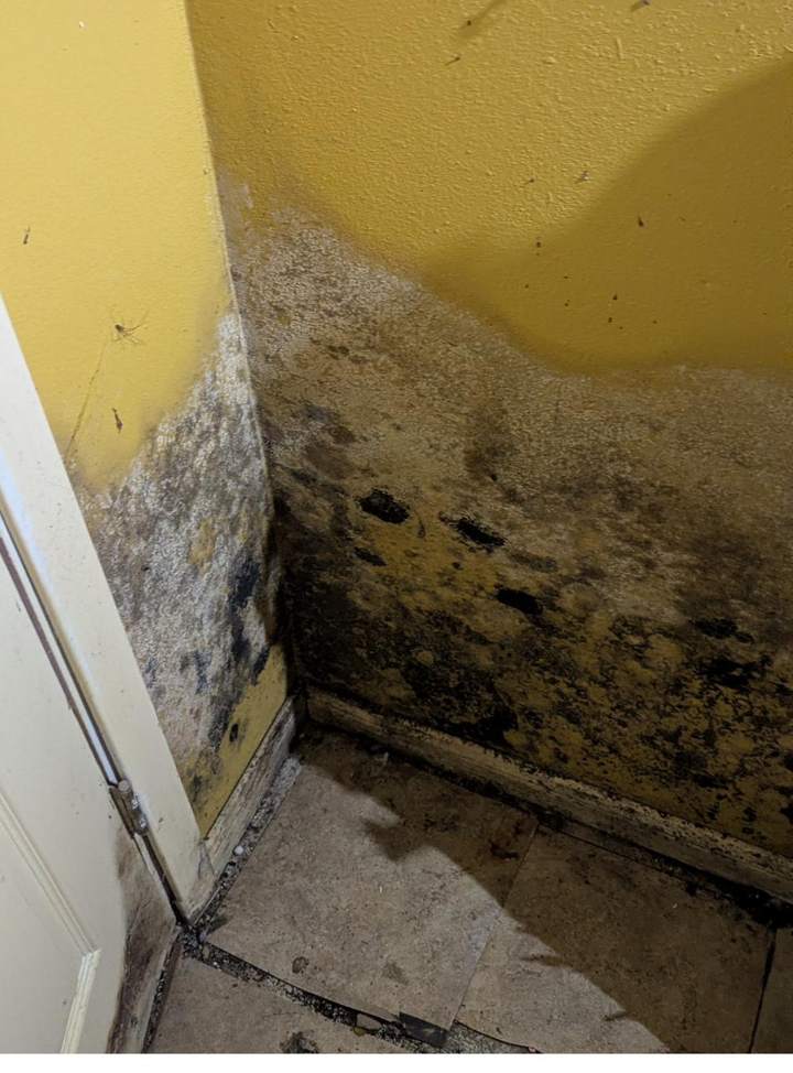 Vantage home inspection photo — gimg16
