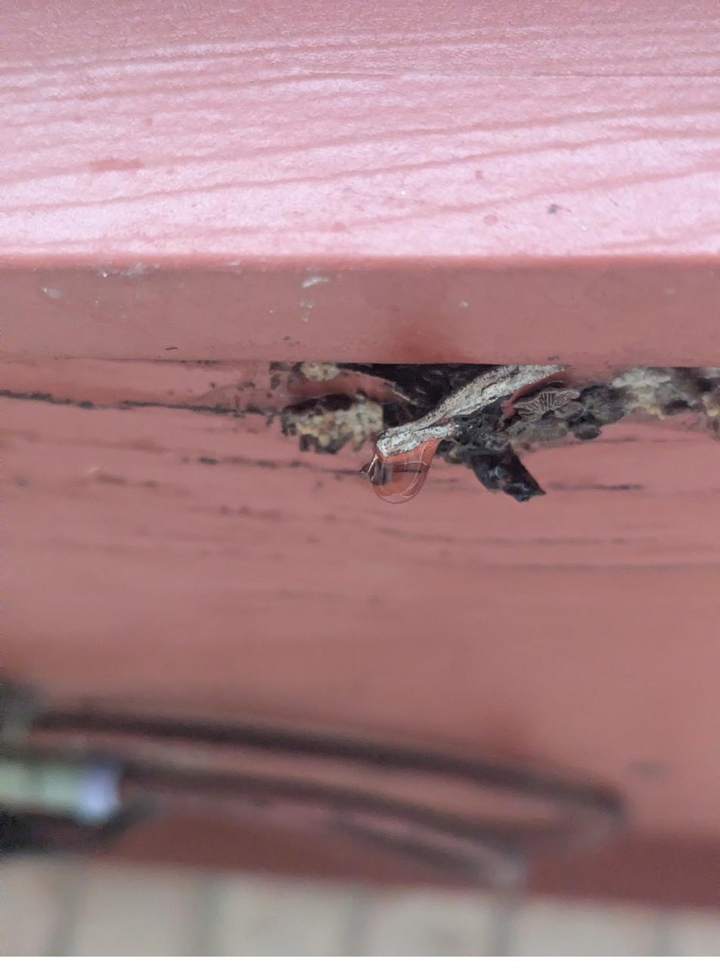 Vantage home inspection photo — gimg17